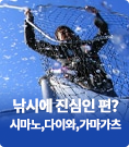 낚시